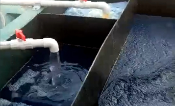 工程现场视频十一